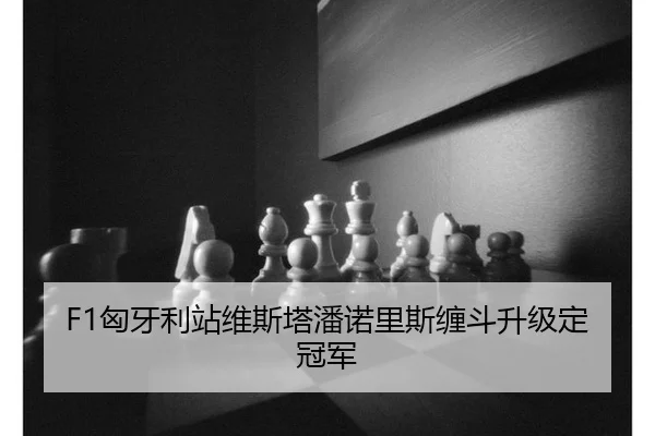 F1匈牙利站维斯塔潘诺里斯缠斗升级定冠军