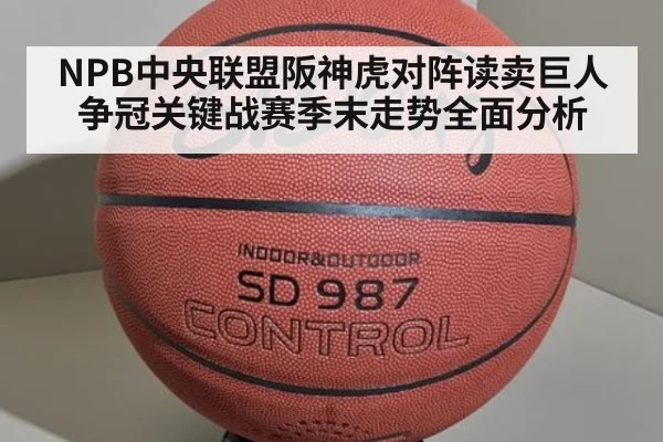 NPB中央联盟阪神虎对阵读卖巨人争冠关键战赛季末走势全面分析
